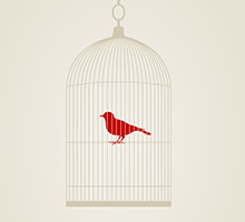 替您把关风险的网站攻击防护