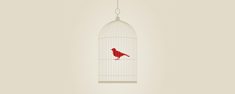 求靠谱ddos免费测试